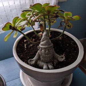 Meet your Posher, Katy